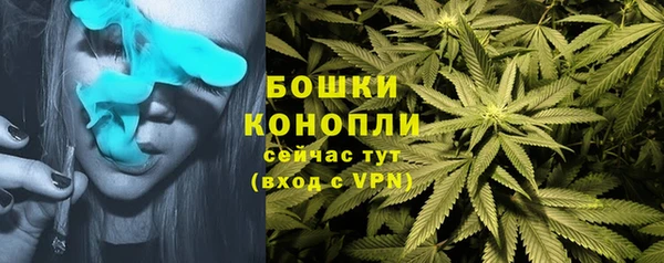 таблы Дмитровск