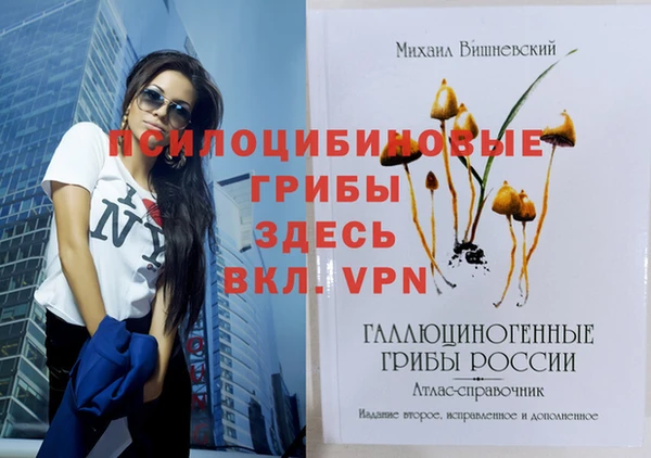 таблы Дмитровск